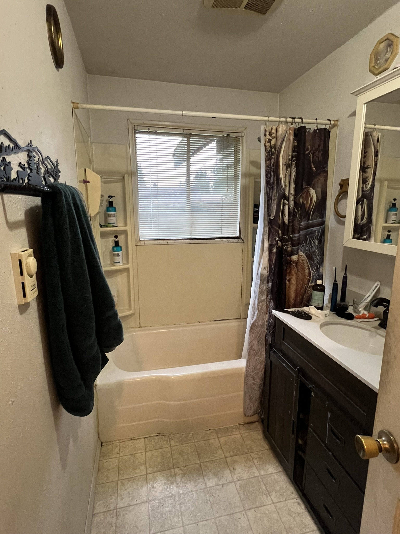 Bathroom before the remodel viewed from the doorway